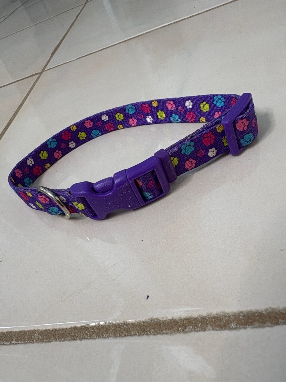 Purple Paw Print Adjustable Pet Collar